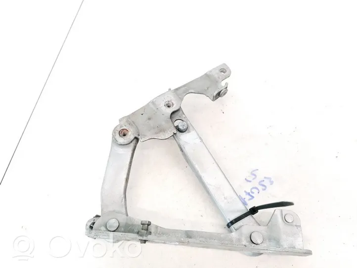 Mercedes-Benz S W220 Engine bonnet/hood hinges 2208800228