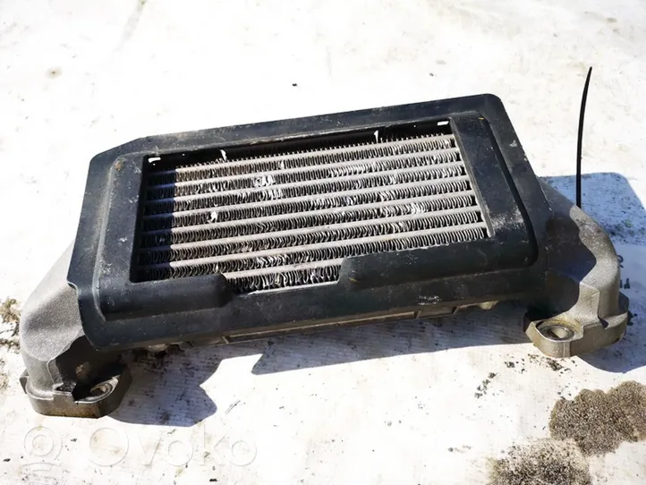 Mazda Xedos 9 Chłodnica powietrza doładowującego / Intercooler 25c14