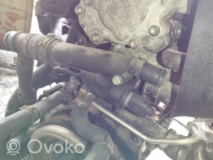 Volkswagen Touran I Tuyau de liquide de refroidissement moteur 038121132d