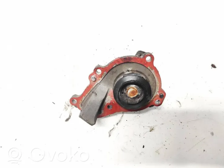 Citroen DS3 Tendicinghia generatore/alternatore 