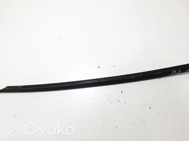 Volkswagen PASSAT B5 Front door glass trim molding 