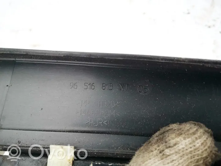 Peugeot 407 Garniture d'essuie-glace 96516813xt