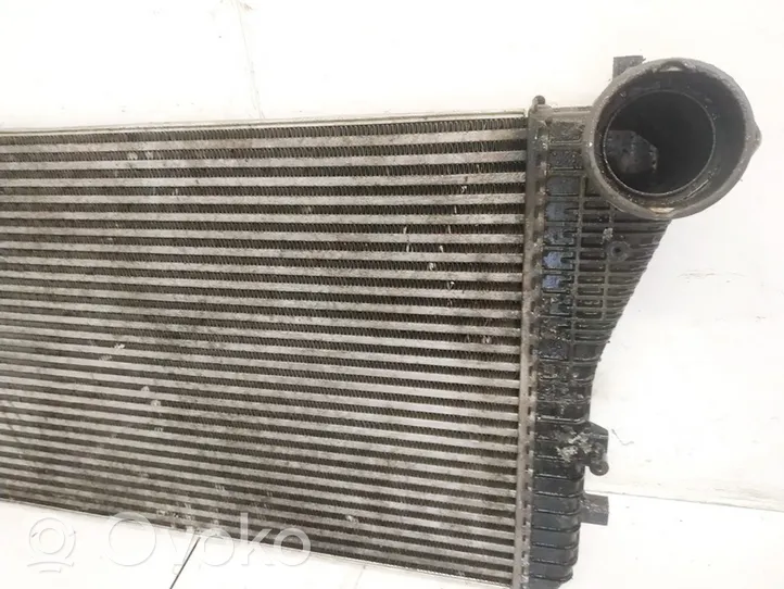 Seat Altea Radiatore intercooler 