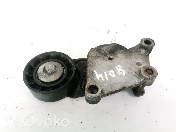 Volvo S40 Napinacz paska alternatora 1FL2TF049F