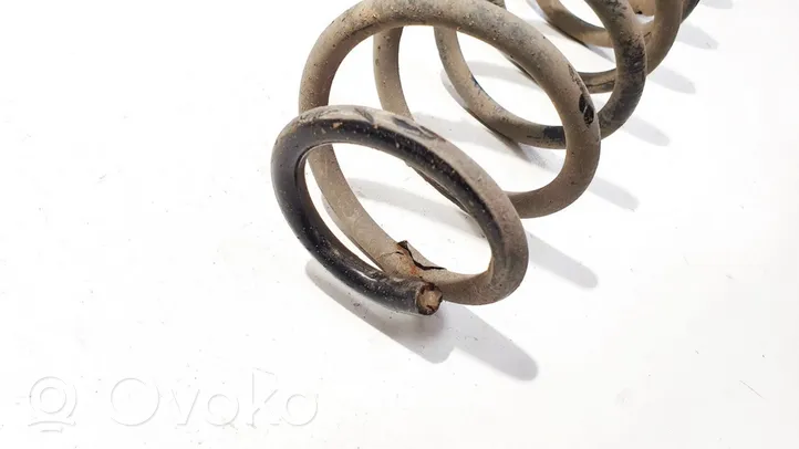 Volkswagen Polo IV 9N3 Rear coil spring 