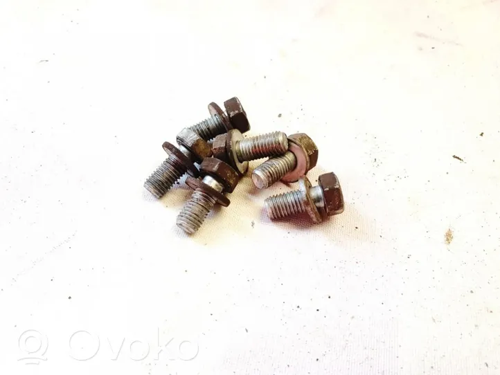 Renault Scenic I Nuts/bolts 