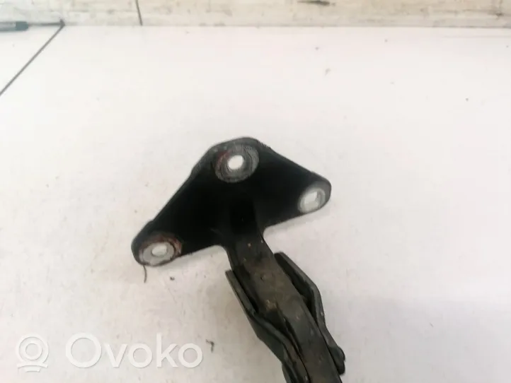 BMW X5 E70 Rear door lower hinge 