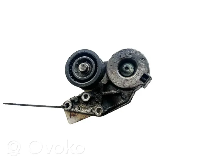 Volkswagen Phaeton Generator/alternator belt tensioner 