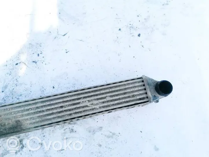 Volkswagen Sharan Radiatore intercooler 7m3145805