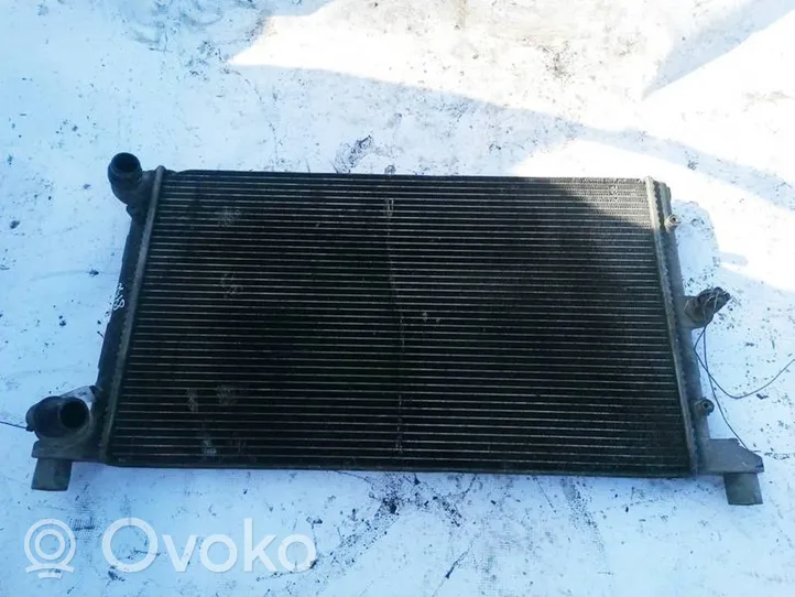 Volkswagen Sharan Coolant radiator 7M3121253B