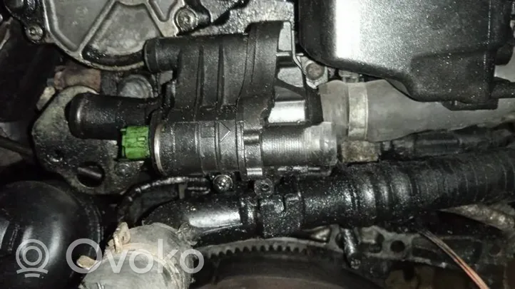 Citroen C5 Moottorin vesijäähdytyksen putki/letku 