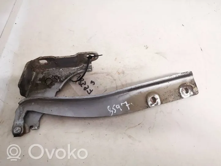 Fiat Punto (188) Engine bonnet/hood hinges a134