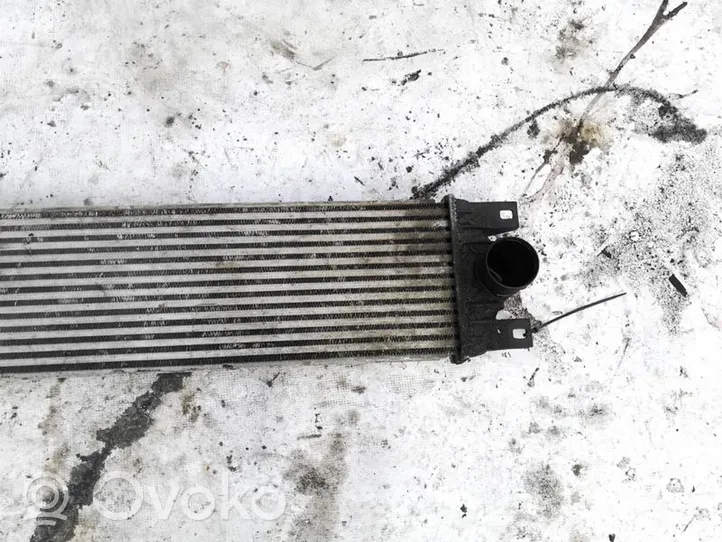 Opel Movano A Chłodnica powietrza doładowującego / Intercooler 