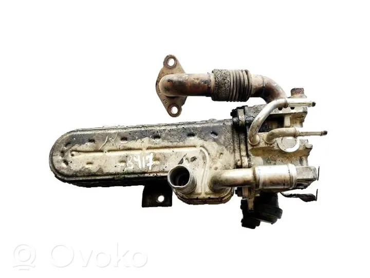Skoda Octavia Mk2 (1Z) EGR aušintuvas 