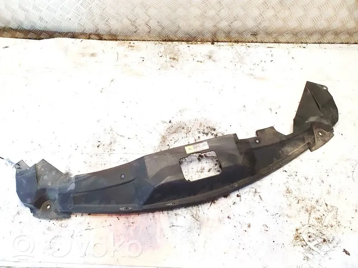 Chrysler Pacifica Radiator support slam panel 04857631aa