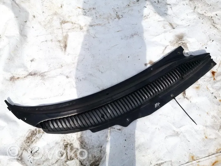 Chrysler 300M Wiper trim 