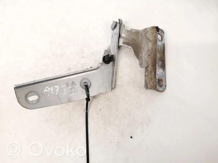 Citroen C4 I Engine bonnet/hood hinges 