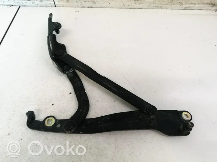 Chevrolet Epica Engine bonnet/hood hinges 