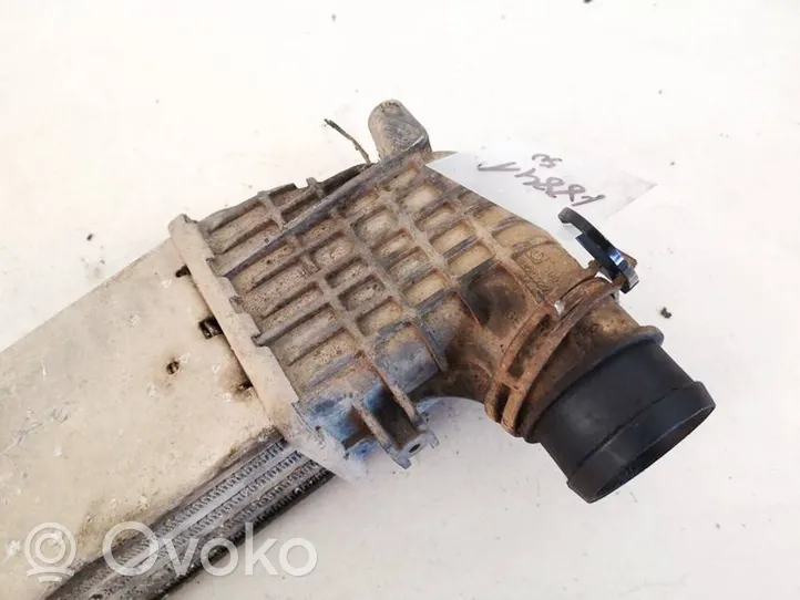 Seat Alhambra (Mk1) Radiatore intercooler 