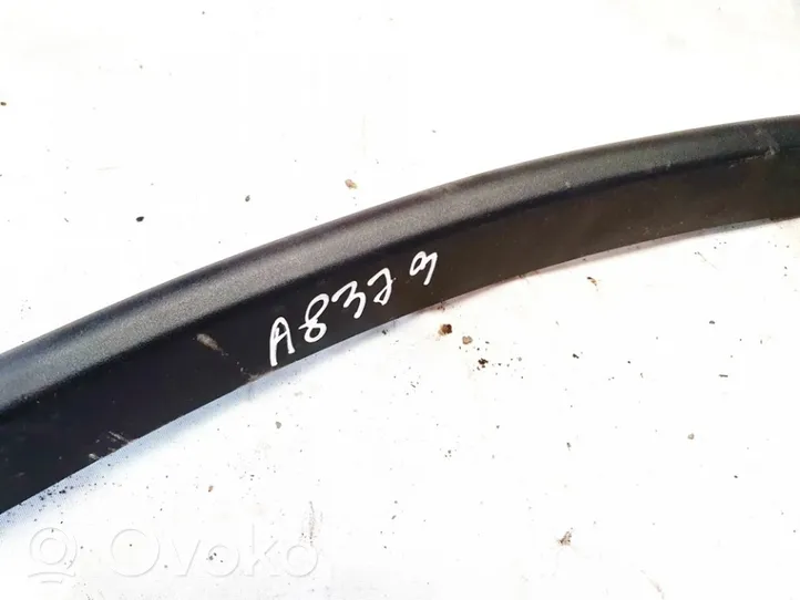 BMW 5 E60 E61 Other front door trim element 8135703362912