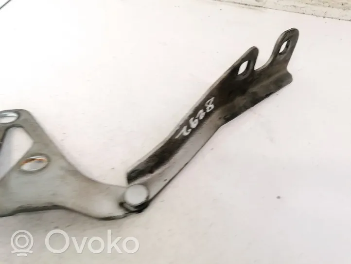 Opel Signum Cerniere del vano motore/cofano 24435369RH