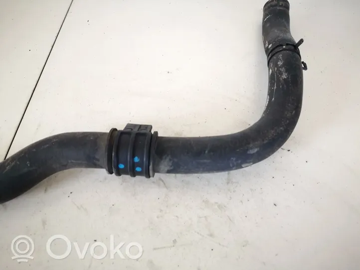 Hyundai Sonata Engine coolant pipe/hose 254113s000