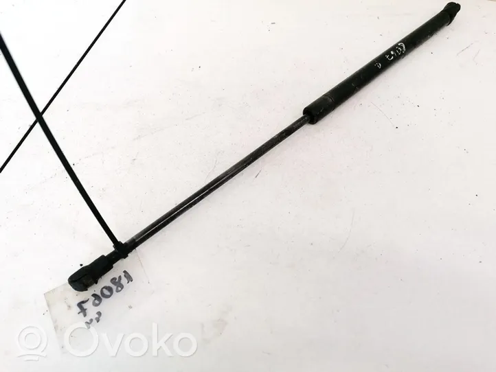 Opel Zafira B Tailgate/trunk strut/damper 