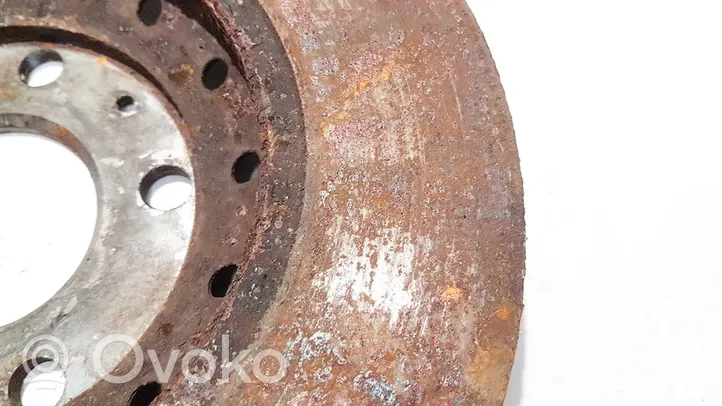 Volkswagen Phaeton Rear brake disc ventiliuojamas