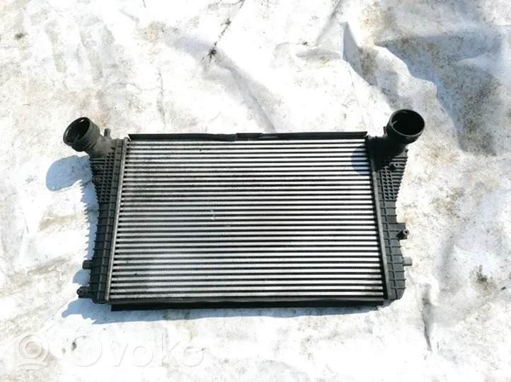 Volkswagen Golf V Radiatore intercooler 1K0145803L