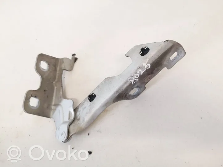 Renault Clio II Cerniere del vano motore/cofano 7700842680