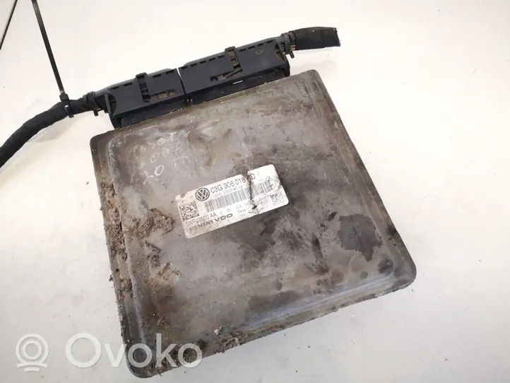 Volkswagen PASSAT B6 Sterownik / Moduł ECU 03g906018