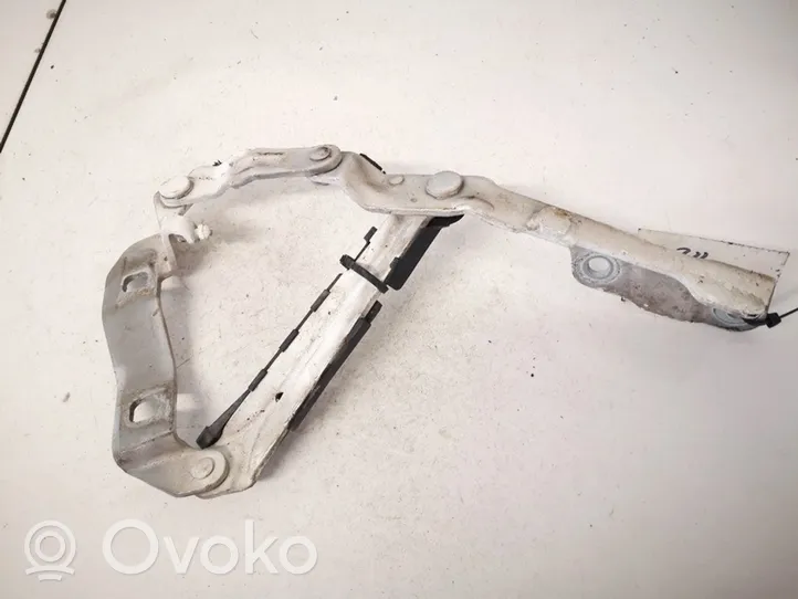 Volkswagen New Beetle Engine bonnet/hood hinges 1c0823302c