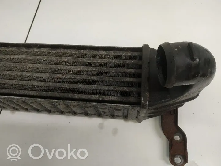 Seat Alhambra (Mk1) Intercooler radiator 