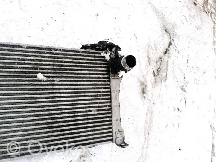 Volvo S80 Chłodnica powietrza doładowującego / Intercooler JD1271003521