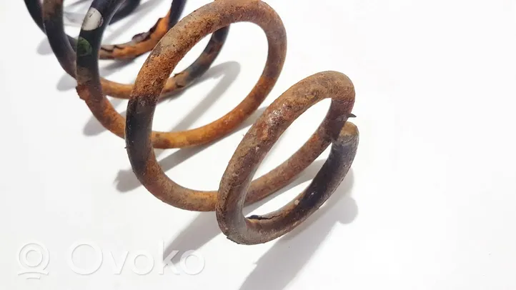 Volkswagen Bora Rear coil spring 