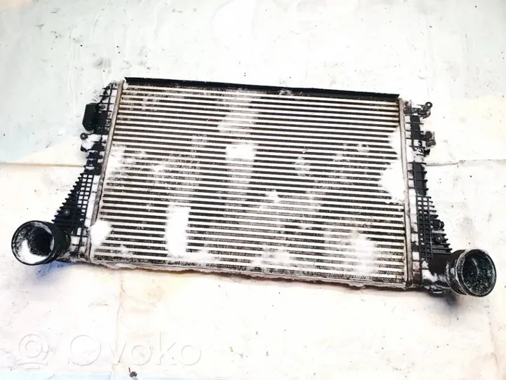 Skoda Octavia Mk2 (1Z) Radiatore intercooler 1k0145803l