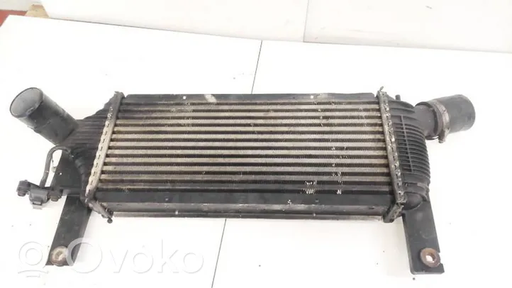 Nissan Pathfinder R51 Chłodnica powietrza doładowującego / Intercooler 14461EB360