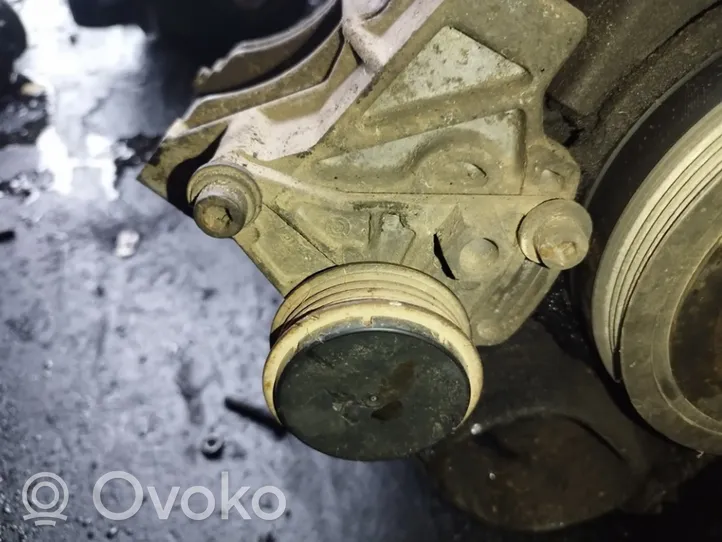 Audi A4 S4 B5 8D Napinacz paska alternatora 