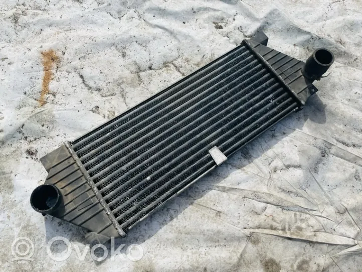 Mercedes-Benz ML W163 Radiatore intercooler 1035042