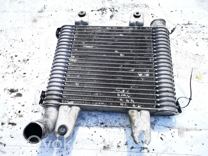 KIA Carnival Radiatore intercooler ok55313550