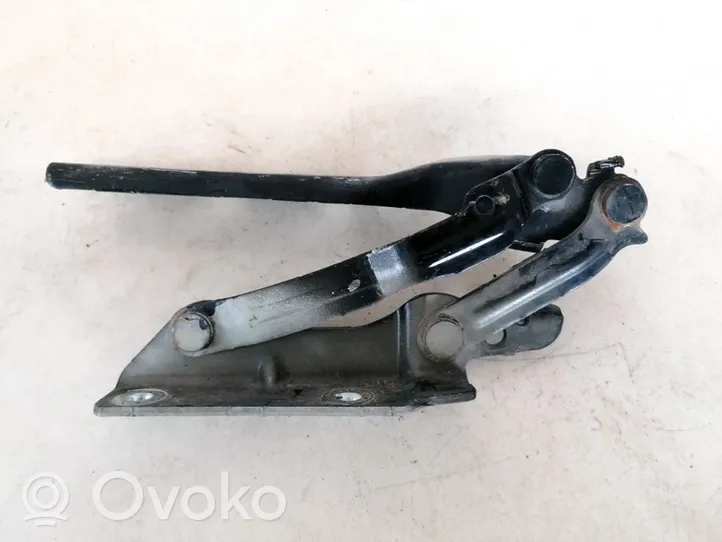 Volkswagen Golf VI Engine bonnet/hood hinges 5k0823301b