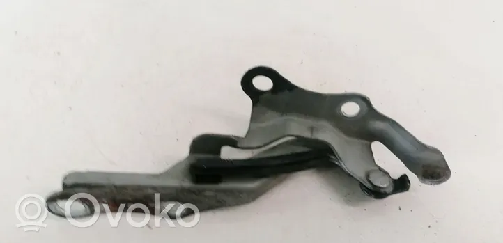 Toyota Corolla Verso E121 Engine bonnet/hood hinges 