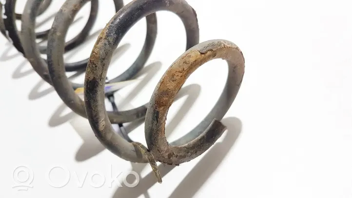 Volkswagen Polo IV 9N3 Rear coil spring 