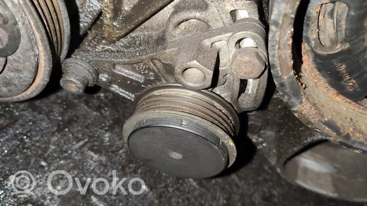 Volkswagen PASSAT B5 Napinacz paska alternatora 