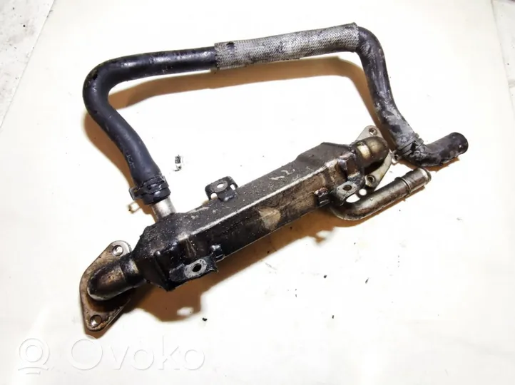 Volkswagen PASSAT B5 EGR-venttiili/lauhdutin 038131513L