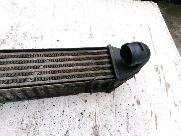 Seat Alhambra (Mk1) Radiatore intercooler 