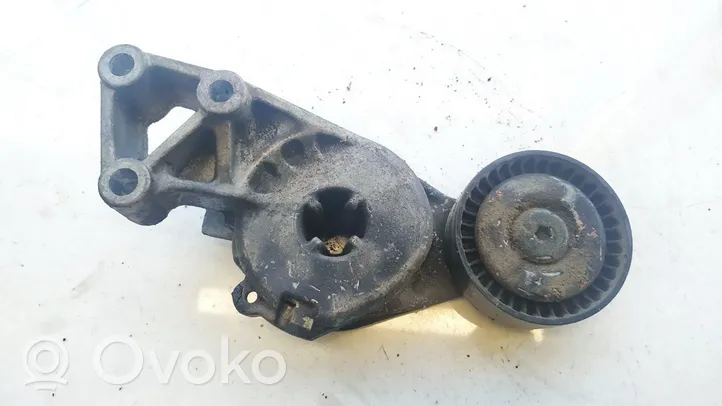 Skoda Fabia Mk1 (6Y) Napinacz paska alternatora 06a903315e