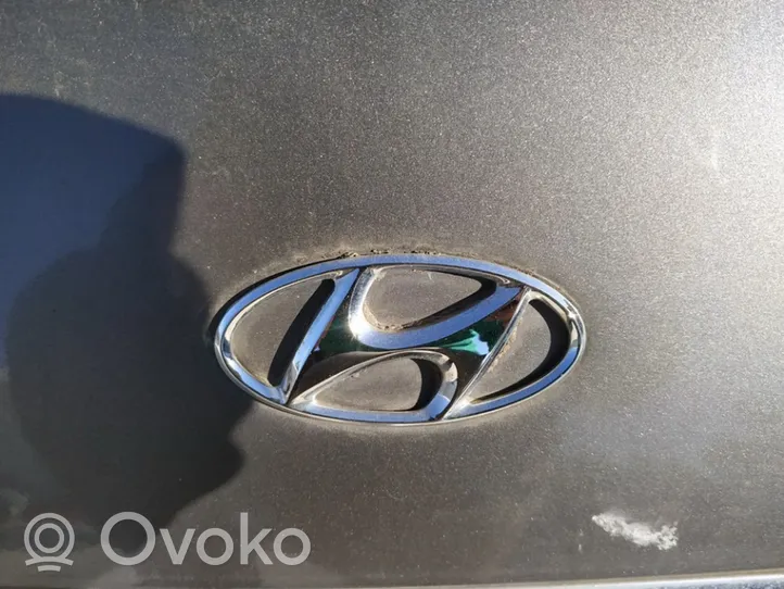 Hyundai Sonata Gamintojo ženkliukas 