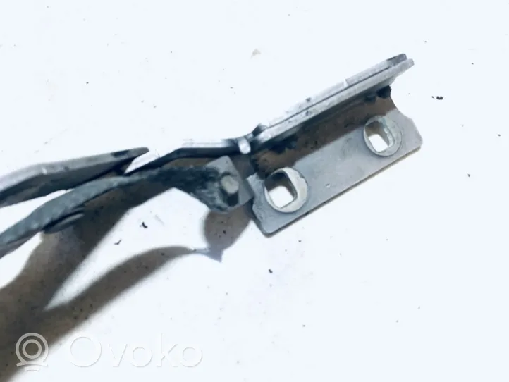 Citroen Xantia Engine bonnet/hood hinges 