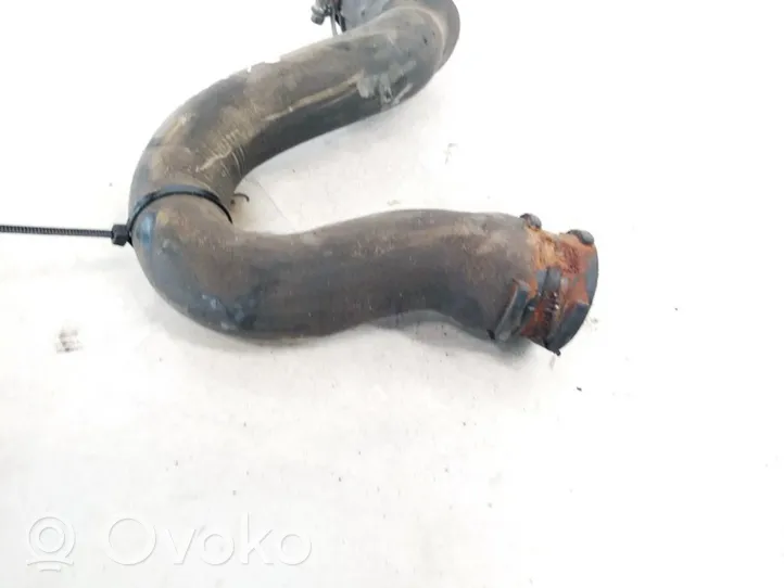 Citroen ZX Engine coolant pipe/hose 